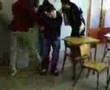 Pateo Bestial