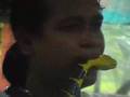 tbars intro thailand