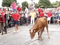 Toro de cuerda de Carcabuey 2006