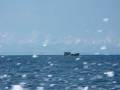 videos de Thai Fishing Boats on the way to the Thai National Marine Park off of Koh Samui Thailand 2