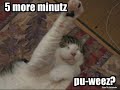 Funny Cats Pt 3 - lolcats.com Funny Cats Pt 3 - lolcats.com