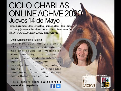 Fluidoterapia enteral en equinos