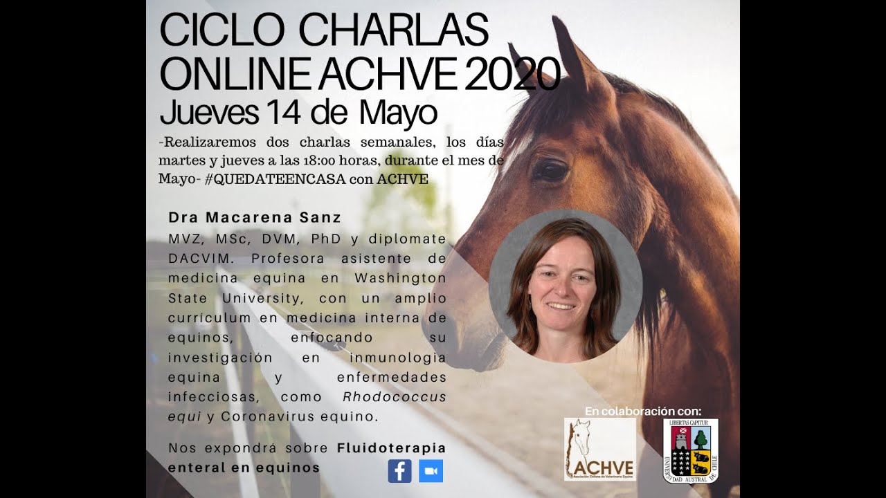 Fluidoterapia enteral en equinos