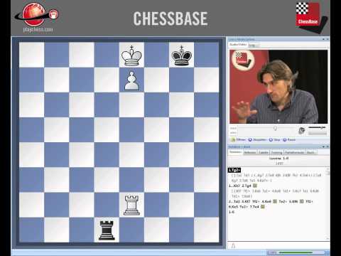 chessbase