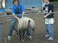 Jim the Mini Pony =]