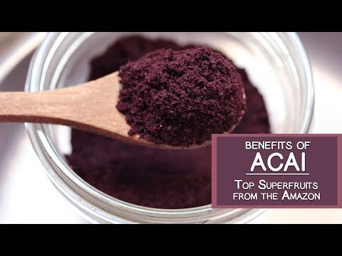 how to harvest acai berry