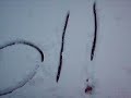 FIRST MICHIGAN SNOW