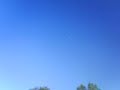 Sierra de la Laguna Sierra de la Laguna