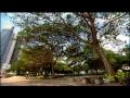 Singapore Tourism Board - Nature