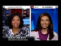 Karen Hunter Cry's Racism On MSNBC, Gets Smacked Down By Amanda Carpenter