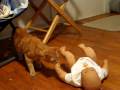 videos de Austin and the baby