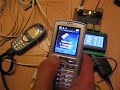 stado DS1820 + Siemens C55 stado DS1820 + Siemens C55