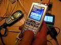 stado DS1820 + Siemens C55