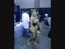 a group of us where standing around a dealer playing caramelldansen on daigasso! band brothers dx when i noticed this girl getting into the dance. needless to say i did not score very well in band brothers :)