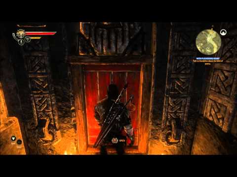 The Witcher 2 : Assassins of Kings