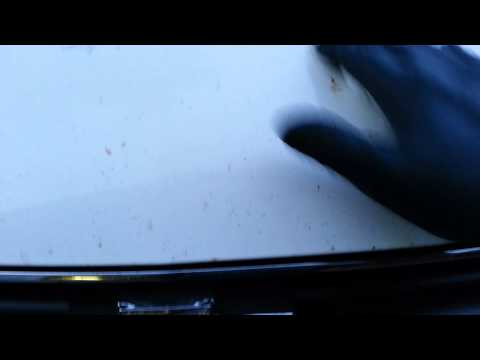 how to remove tree sap from car