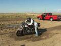 videos de stunting