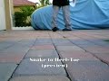 Snake Heel Toe Transitions CWALK Tutorial - PimpMyWalk.com Snake Heel Toe Transitions CWALK Tutorial - PimpMyWalk.com