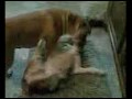 Mama Peggy kümmert sich um Sohn Donny 20091124.mov