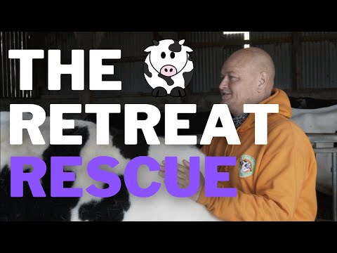 THE RETREAT ANIMAL RESCUE | The UK Animal Sanctuary Helping Thousands