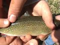 Trout  Fishing HARWOOD lake 5-5-08