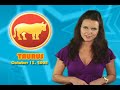 Taurus Horoscope October 13, 2008