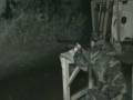 videos de Lee Enfield No. 1 Mk III* at the Range