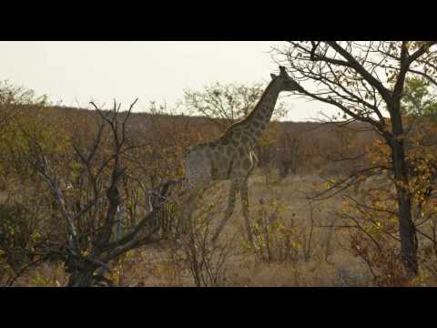 Namibia Rundreise 2007 Teil 4