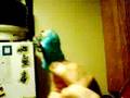 burning peep