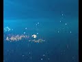 Christian Lorenz (Flake) de Rammstein en el concierto de Barcelona
