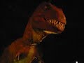Dino Island Dino Island