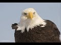 the-eagles-life-in-the-fast-lane.html