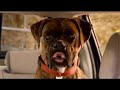Talking dog bloopers from TV ad