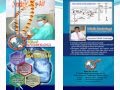 Infertilitas Pria by Klinik Andrologi dr. Anton Darsono Wongso, SpAnd