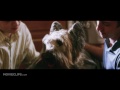 American Wedding (2/10) Movie CLIP - Wedding Plans (2003) HD