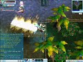 Tales Of Pirates MVM battles By Tactix Tales Of Pirates MVM battles By Tactix