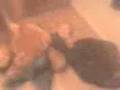 videos de Bear Fighting! (Crazy Kid And Friend)