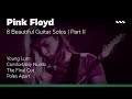 Mateus Schaffer - 8 Pink Floyd Guitar Solos (Part 2): Comfortably Numb and many more!