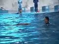 Dolphine Show ??????