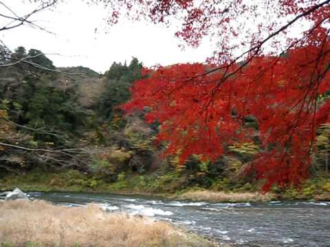 橋からキャンプ場所までの道のり