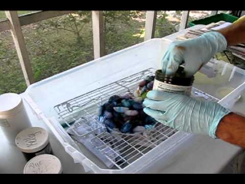how to dye ice cubes