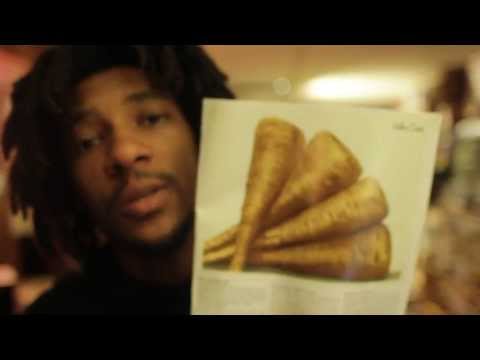 how to harvest artichoke seeds