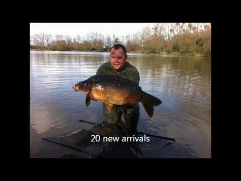 Netting & Additional Stocking 2017, Feb 2017 Netting & Additional Stocking 2017, Feb 2017