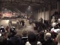 winterclash