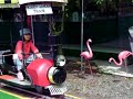 Hobby Garden Hawaii Train Ride Hobby Garden Hawaii Train Ride