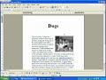 greyscale and borders on images in MS Word