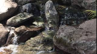 Boulder Stream and Waterfall