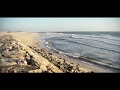 ver trabalho BAIRRADA | segredos por descobrir