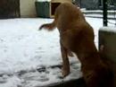 Farrell in the snow