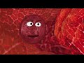 Thrombozythen-Spektakel Thrombozythen-Spektakel
